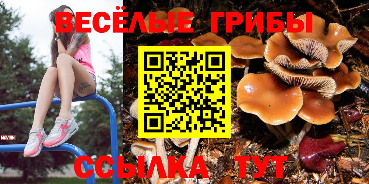 Псилоцибиновые грибы прущие грибы Чехов